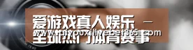 公司动态